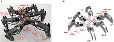 Adaptive Locomotion Control of a Hexapod Robot via Bio-Inspired Learning